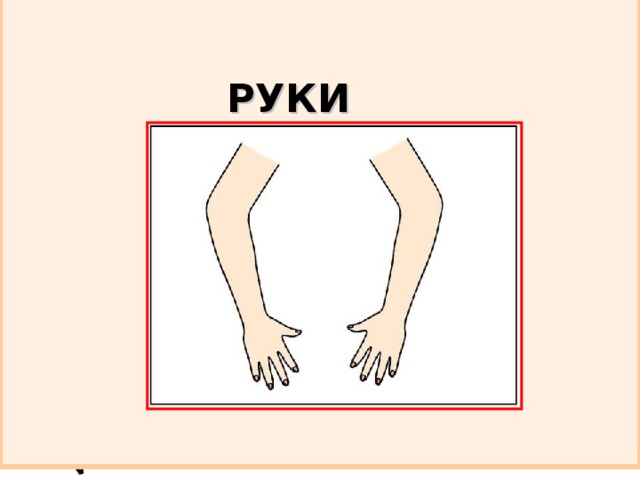 РУКИ 