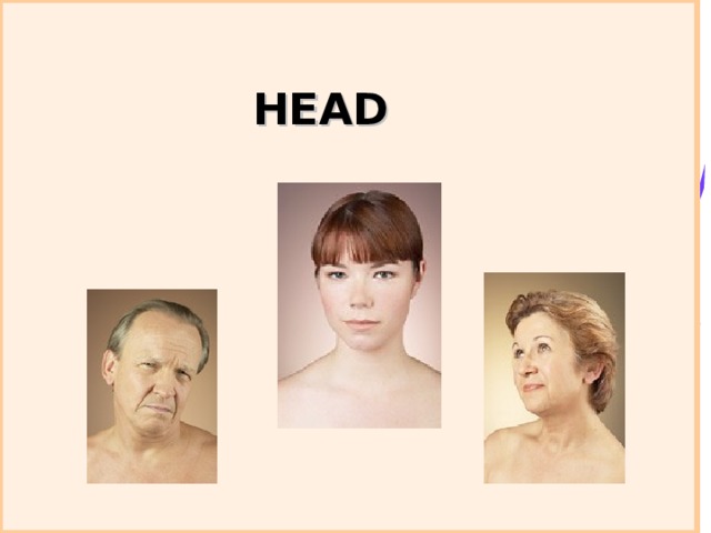 HEAD 