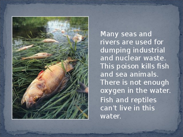  Many seas and rivers are used for dumping industrial and nuclear waste. This poison kills fish and sea animals. There is not enough oxygen in the water.  Fish and reptiles can't live in this water. 