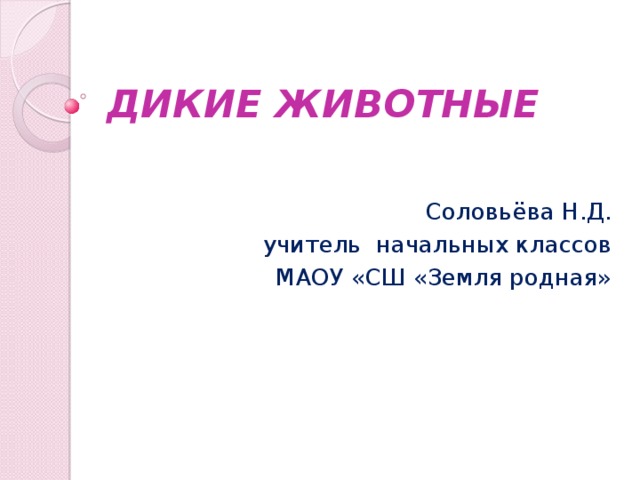 ДИКИЕ ЖИВОТНЫЕ Соловьёва Н.Д. учитель начальных классов МАОУ «СШ «Земля родная» 