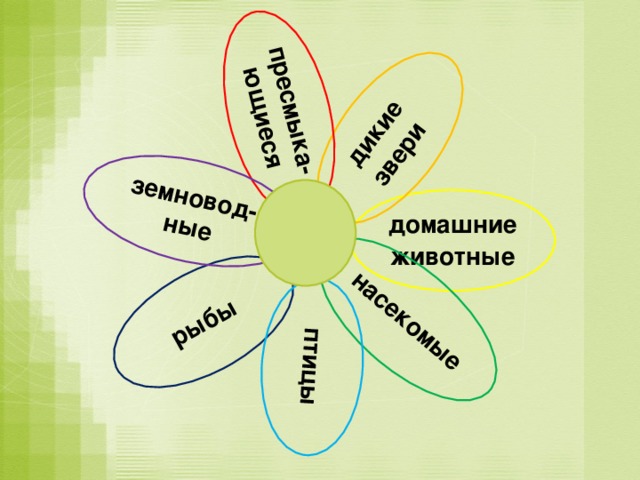 рыбы  дикие звери насекомые птицы пресмыка-ющиеся земновод- ные домашние животные 