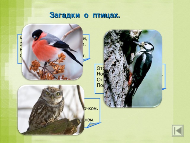 Загадки о птицах. Чернокрылый, красногрудый, Здесь зимой найдёт приют. Не боится он простуды – С первым снегом тут как тут. Этот врач в лесной палате Носит пёстренький халатик. От врагов деревья лечит. Постучит – им станет легче. У неё глаза большие, Хищный клюв – всегда крючком. По ночам она летает, Спит в дупле своём лишь днём. 