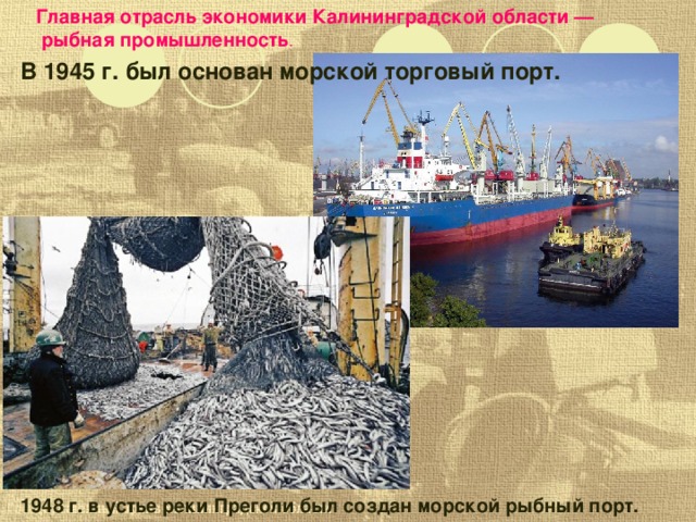 Главная отрасль экономики Калининградской области —  рыбная промышленность . В 1945 г. был основан морской торговый порт.       1948 г. в устье реки Преголи был создан морской рыбный порт. 