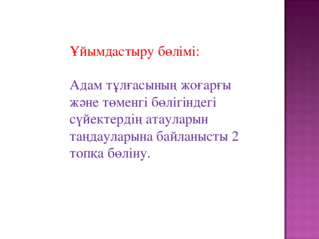 Ұйымдастыру бөлімі: Адам тұлғасының жоғарғы және төменгі бөлігіндегі сүйектердің атауларын таңдауларына байланысты 2 топқа бөліну. 