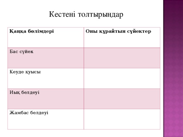 Кестені толтырыңдар Қаңқа бөлімдері Оны құрайтын сүйектер Бас сүйек Кеуде қуысы Иық белдеуі Жамбас белдеуі 