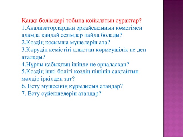 Қаңқа бөлімдері тобына қойылатын сұрақтар? Анализаторлардың әрқайсысының көмегімен адамда қандай сезімдер пайда болады? Көздің қосымша мүшелерін ата? Көрудің кемістігі алыстан көрмеушілік не деп аталады? Нұрлы қабықтың ішінде не орналасқан? Көздің ішкі бөлігі көздің пішінін сақтайтын мөлдір іркілдек зат? 6. Есту мүшесінің құрылысын атаңдар? 7. Есту сүйекшелерін атаңдар? 