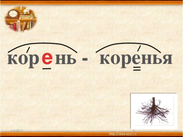 кор нь - коренья е  1/15/17  