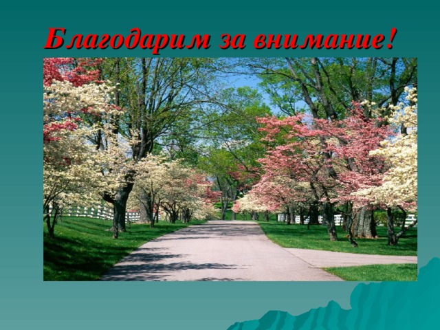 Благодарим за внимание! 