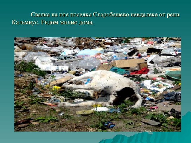  Свалка на юге поселка Старобешево невдалеке от реки Кальмиус. Рядом жилые дома. 