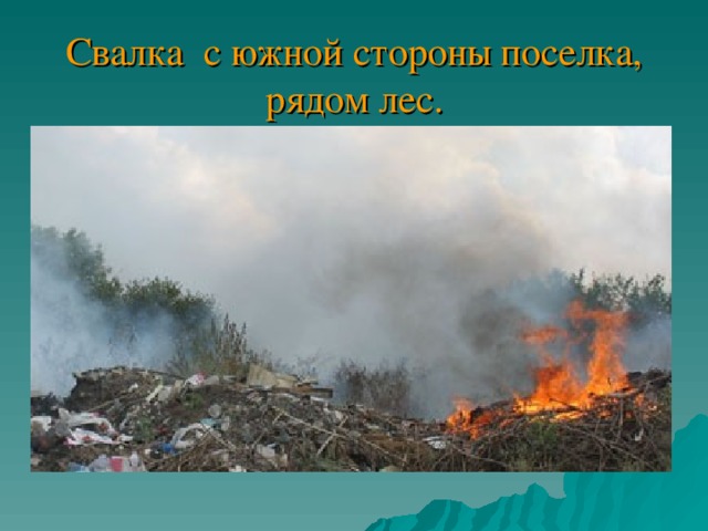 Свалка с южной стороны поселка, рядом лес. 