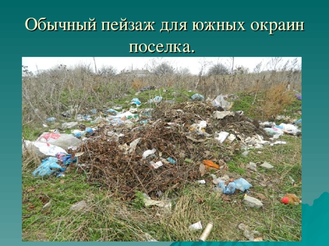 Обычный пейзаж для южных окраин поселка.  