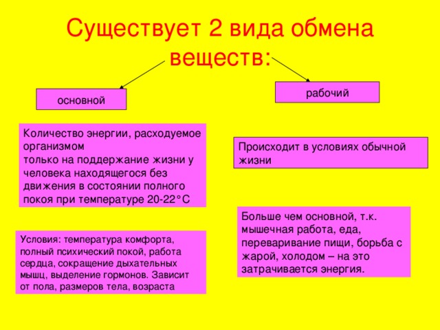 Типы обмена. Виды обмена веществ. Обмен веществ виды обмена. Виды обмена веществ биология. Виды обмена веществ у человека.