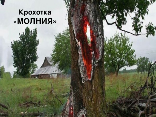 Крохотка « МОЛНИЯ» 