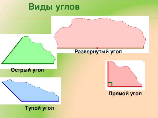 Виды углов Развернутый угол Острый угол Прямой угол Тупой угол