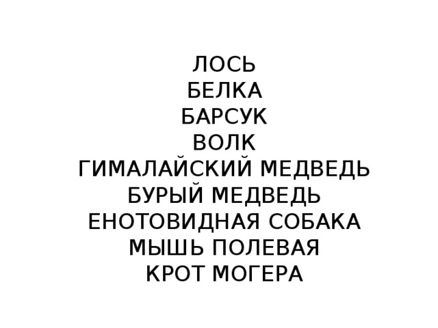 ЛОСЬ БЕЛКА БАРСУК ВОЛК ГИМАЛАЙСКИЙ МЕДВЕДЬ БУРЫЙ МЕДВЕДЬ ЕНОТОВИДНАЯ СОБАКА МЫШЬ ПОЛЕВАЯ КРОТ МОГЕРА 