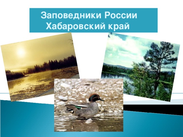  Заповедники России  Хабаровский край 