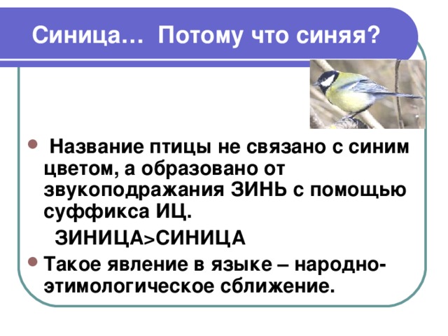 История слова загадка. Этимология слова синица 6 класс. Загадка к слову забота.