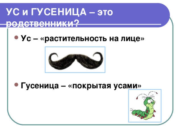 УС и ГУСЕНИЦА – это родственники? Ус – «растительность на лице»   Гусеница – «покрытая усами» 