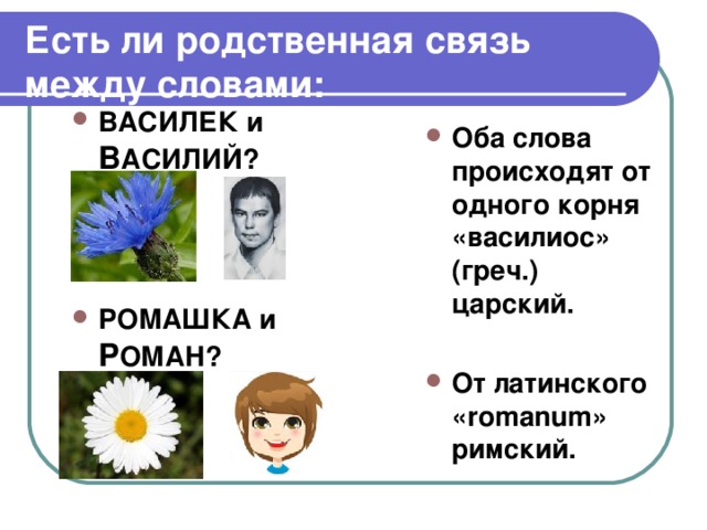 Есть ли родственная связь между словами: ВАСИЛЕК и В АСИЛИЙ?   РОМАШКА и Р ОМАН? Оба слова происходят от одного корня «василиос» (греч.) царский.  От латинского « romanum » римский. 