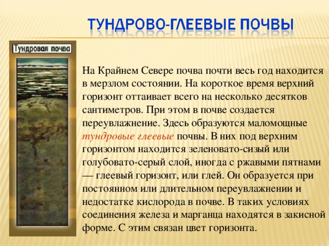 На Крайнем Севере почва почти весь год находится в мерзлом состоянии. На короткое время верхний горизонт оттаивает всего на несколько десятков сантиметров. При этом в почве создается переувлажнение. Здесь образу­ются маломощные тундровые глеевые  почвы. В них под верхним горизонтом находится зеленовато-сизый или голубовато-серый слой, иногда с ржавыми пятнами — глеевый горизонт, или глей. Он образуется при постоянном или длительном переувлажнении и недостатке кислорода в почве. В таких условиях соединения железа и марганца находятся в закисной форме. С этим связан цвет горизонта. 