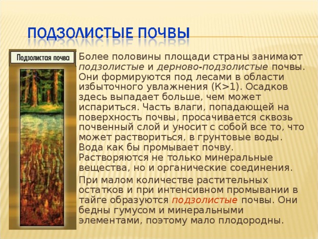 Дерново подзолистые почвы свойства. Дерново-подзолистые плодородие. Дерновоподзолистая слабоглееватая почва. Дерново-подзолистые почвы плодородны или нет. Плодородие подзолистых почв в России.