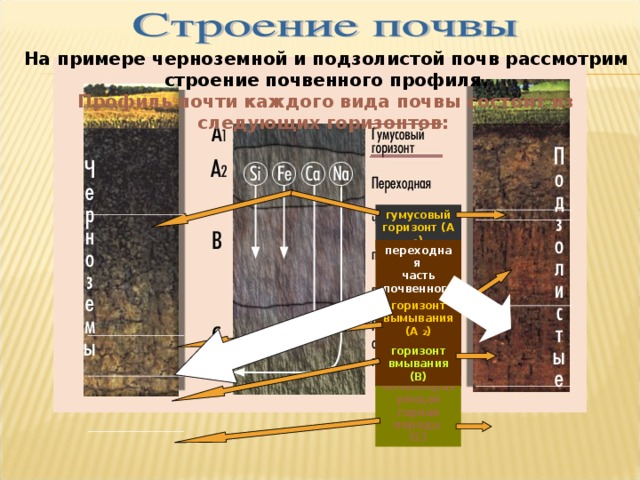 Гумусовый горизонт. А1 гумусовый Горизонт. Переходная часть почвенного профиля. Переходный Горизонт почвы. Структура почвы бывает.