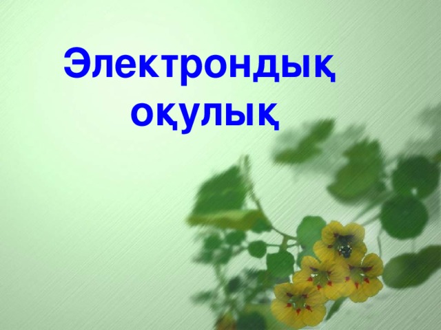 Электрондық оқулық 