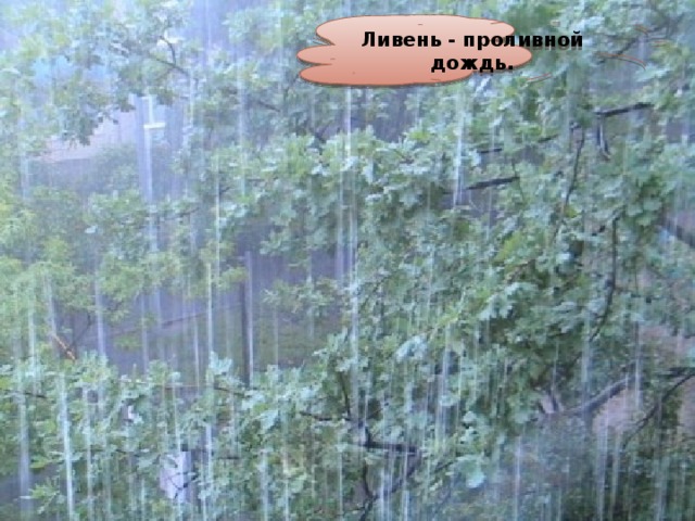 Ливень - проливной дождь.