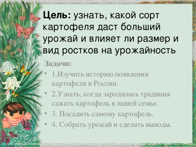 Цель: узнать, какой сорт картофеля даст больший урожай и влияет ли размер и вид ростков на урожайность Задачи:  1.Изучить историю появления картофеля в России. 2.Узнать, когда зародилась традиция сажать картофель в нашей семье. 3. Посадить самому картофель. 4. Собрать урожай и сделать выводы. 
