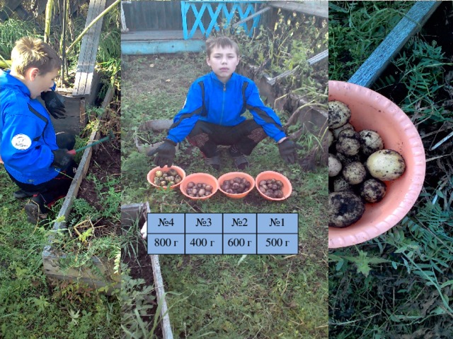 № 4 № 3 800 г № 2 400 г № 1 600 г 500 г 