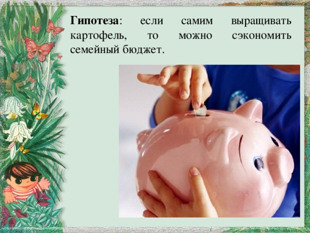 Гипотеза : если самим выращивать картофель, то можно сэкономить семейный бюджет. 