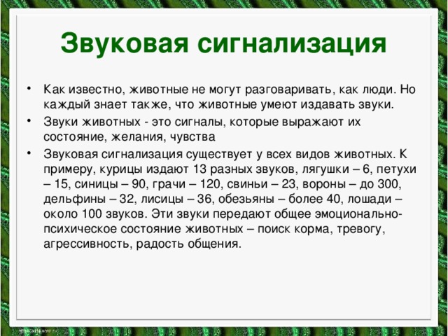 Звуковая сигнализация Как известно, животные не могут разговаривать, как люди. Но каждый знает также, что животные умеют издавать звуки. Звуки животных - это сигналы, которые выражают их состояние, желания, чувства Звуковая сигнализация существует у всех видов животных. К примеру, курицы издают 13 разных звуков, лягушки – 6, петухи – 15, синицы – 90, грачи – 120, свиньи – 23, вороны – до 300, дельфины – 32, лисицы – 36, обезьяны – более 40, лошади – около 100 звуков. Эти звуки передают общее эмоционально-психическое состояние животных – поиск корма, тревогу, агрессивность, радость общения. 