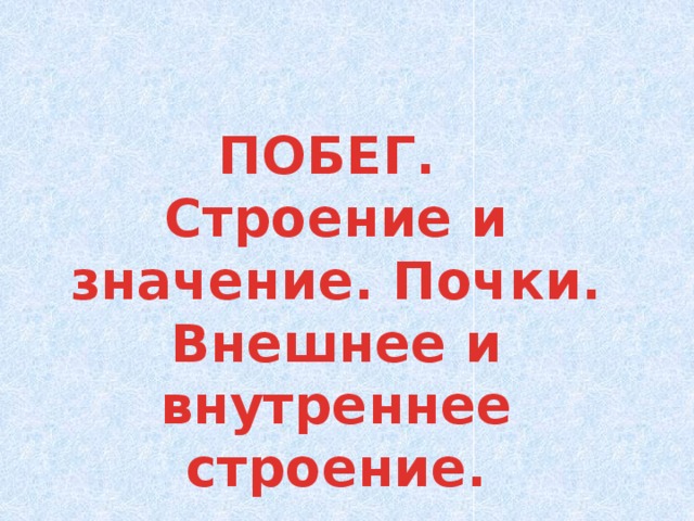 ПОБЕГ. Строение и значение. Почки. Внешнее и внутреннее строение. 