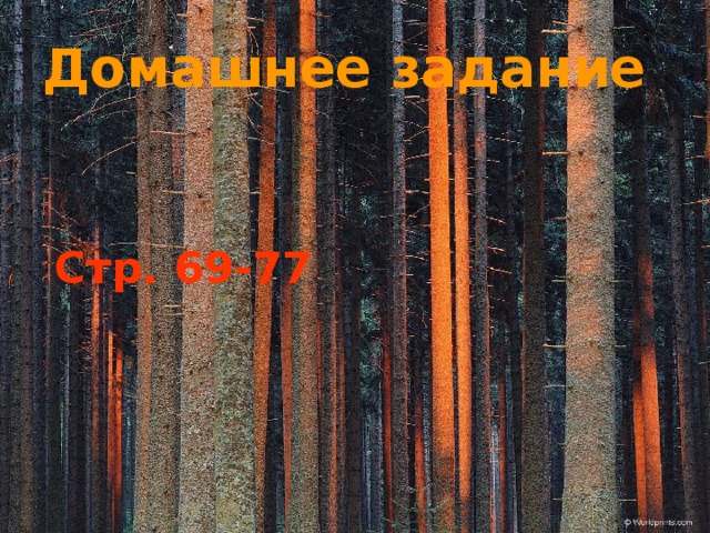 Домашнее задание Стр. 69-77 