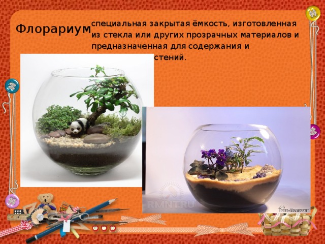 специальная закрытая ёмкость, изготовленная из стекла или других прозрачных материалов и предназначенная для содержания и разведения растений. Флорариум 