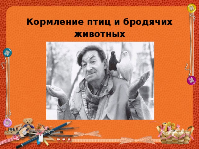 Кормление птиц и бродячих животных 