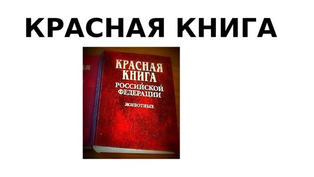 КРАСНАЯ КНИГА 