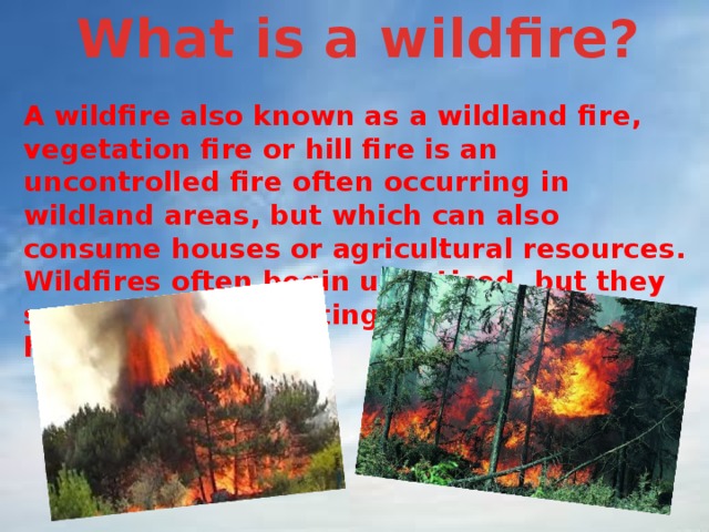 What is a wildfire? A wildfire also known as a wildland fire, vegetation fire or hill fire is an uncontrolled fire often occurring in wildland areas, but which can also consume houses or agricultural resources. Wildfires often begin unnoticed, but they spread quickly igniting brush, trees and homes. 