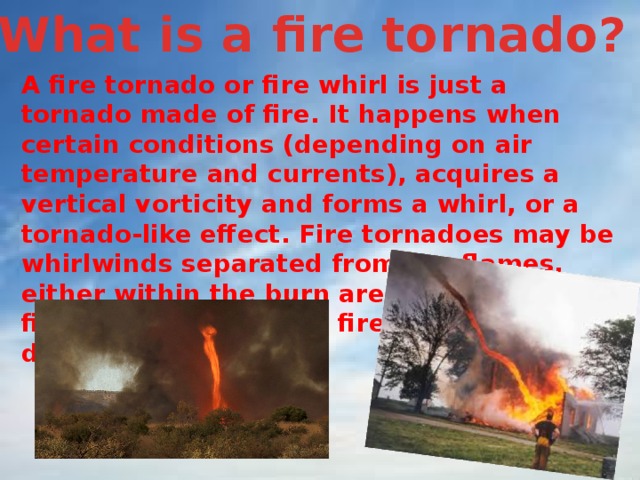 What is a fire tornado? A fire tornado or fire whirl is just a tornado made of fire. It happens when certain conditions (depending on air temperature and currents), acquires a vertical vorticity and forms a whirl, or a tornado-like effect. Fire tornadoes may be whirlwinds separated from the flames, either within the burn area or outside it. A fire tornado can make fires more dangerous. 