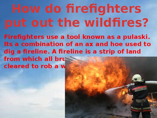 How do firefighters put out the wildfires? Firefighters use a tool known as a pulaski. Its a combination of an ax and hoe used to dig a fireline. A fireline is a strip of land from which all brush and debris have been cleared to rob a wildfire of its fuel. 