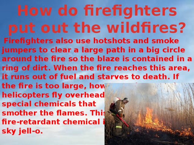 How do firefighters put out the wildfires?   Firefighters also use hotshots and smoke jumpers to clear a large path in a big circle around the fire so the blaze is contained in a ring of dirt. When the fire reaches this area, it runs out of fuel and starves to death. If the fire is too large, however, planes and helicopters fly overhead, dropping water and special chemicals that smother the flames. This pink, fire-retardant chemical is called sky jell-o. 