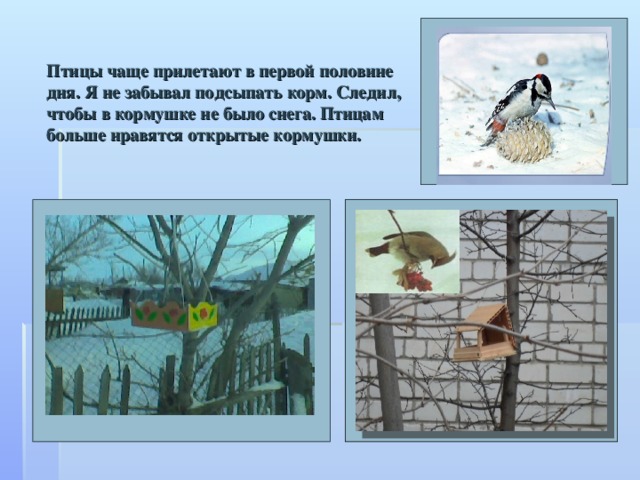 Сколько птиц прилетело в наши края. Какие птицы прилетают к кормушке. Птицы прилетают зимовать. Какие птицы прилетают к кормушке зимой. Зимующие птицы прилетели к кормушке.