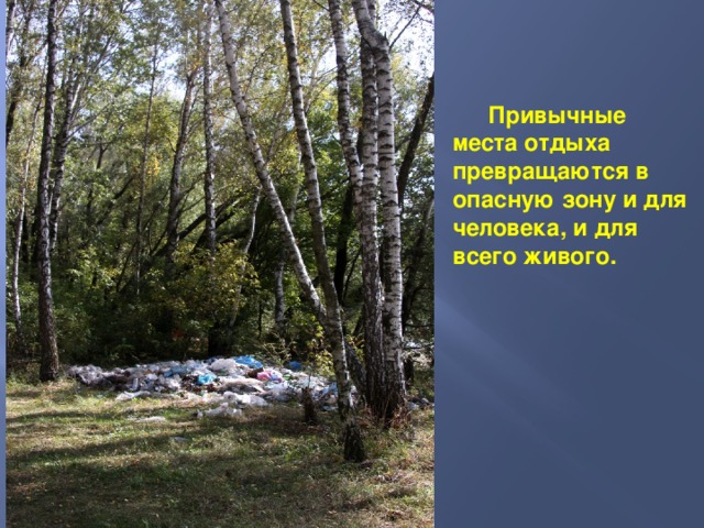 Привычные места отдыха превращаются в опасную зону и для человека, и для всего живого. 