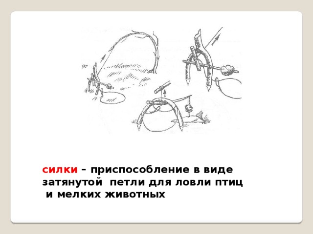 Взять силком. Силок приспособление. Силки для птиц. Запутался в силок. Петля для ловли птиц.