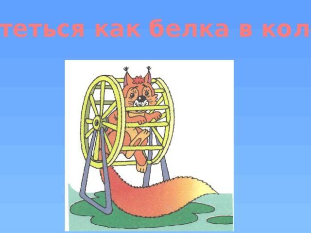 Вертеться как белка в колесе 