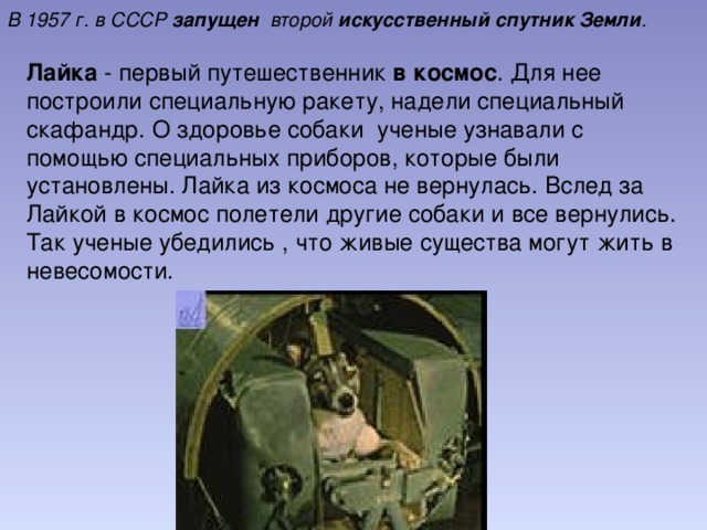 В 1957 г. в СССР запущен второй искусственный  спутник  Земли .  Лайка - первый путешественник в  космос . Для нее построили специальную ракету, надели специальный скафандр. О здоровье собаки ученые узнавали с помощью специальных приборов, которые были установлены. Лайка из космоса не вернулась. Вслед за Лайкой в космос полетели другие собаки и все вернулись. Так ученые убедились , что живые существа могут жить в невесомости.  