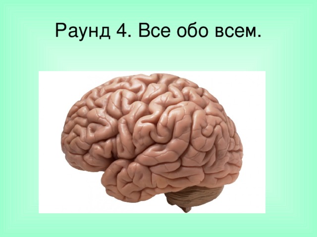 Раунд 4. Все обо всем. 