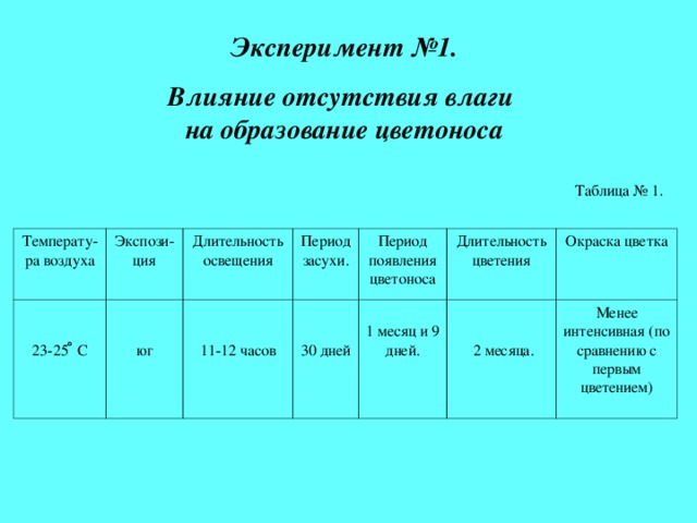 Эксперимент №1. Влияние отсутствия влаги  на образование цветоноса Таблица № 1 Температу-ра воздуха 23-25 ̊ С Экспози-ция Длительность освещения юг Период засухи. 11-12 часов Период появления цветоноса 30 дней 1 месяц и 9 дней. Длительность цветения Окраска цветка  2 месяца. Менее интенсивная (по сравнению с первым цветением) 