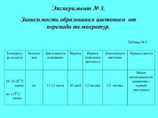 Эксперимент № 3. Зависимость образования цветоноса от перепада температур.  Таблица № 3 Температу-ра воздуха От 23-25 ̊ С (день)  до +15 ̊ С (ночь) Экспози-ция Длительность освещения юг Период 11-12 часов Период появления цветоноса 30 дней 1,5 месяца. Длительность цветения Окраска цветка 2,5 месяца. Менее интенсивная (по сравнению с первым цветением) 