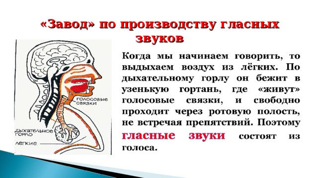 «Завод» по производству гласных звуков